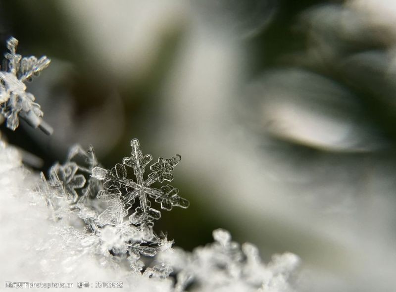 冰天雪地