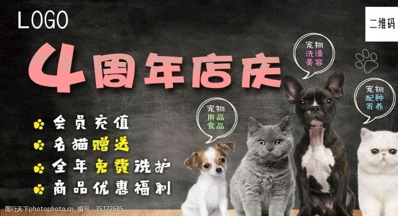 宠物护理宠物海报