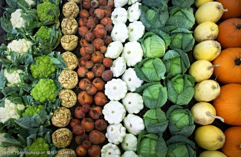 绿色食品超市蔬菜