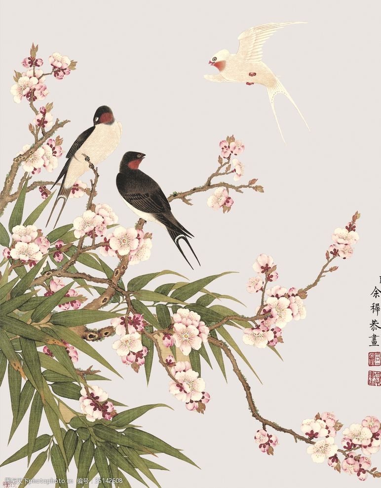 郎世寧 花鳥圖 清郎世宁《花鸟图册》赏析-搜狐