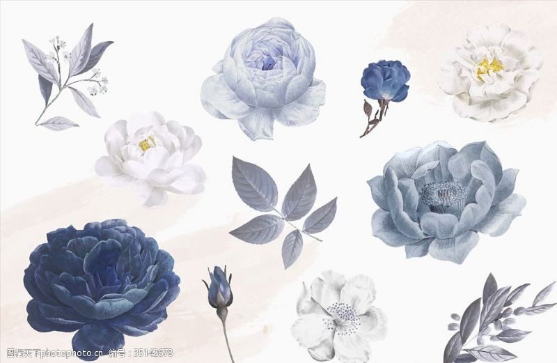 水彩花卉手绘水彩蓝玫瑰花卉插画