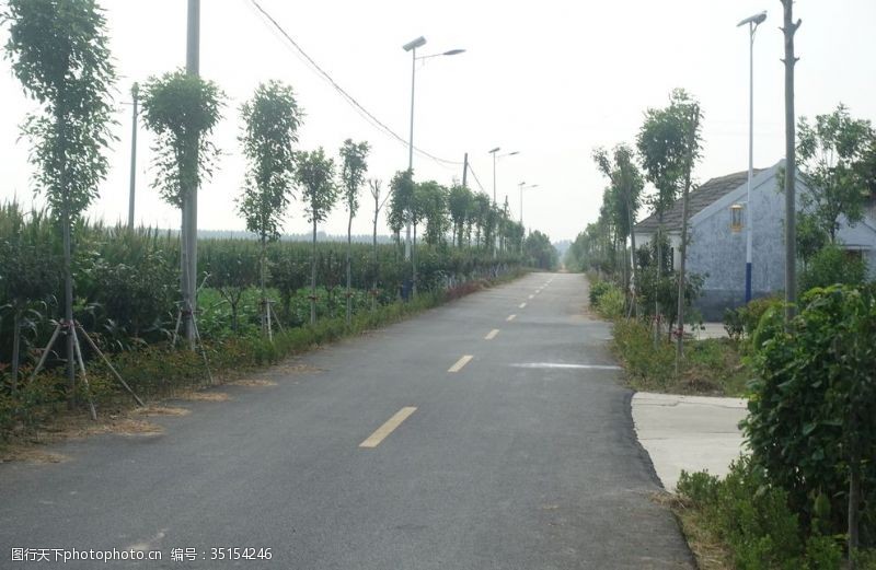 农村土路乡村道路