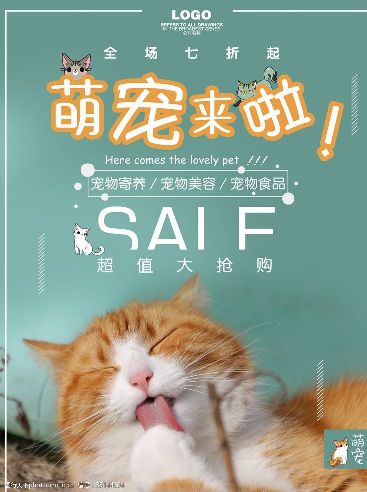 宠物店会员日宠物店宣传海报