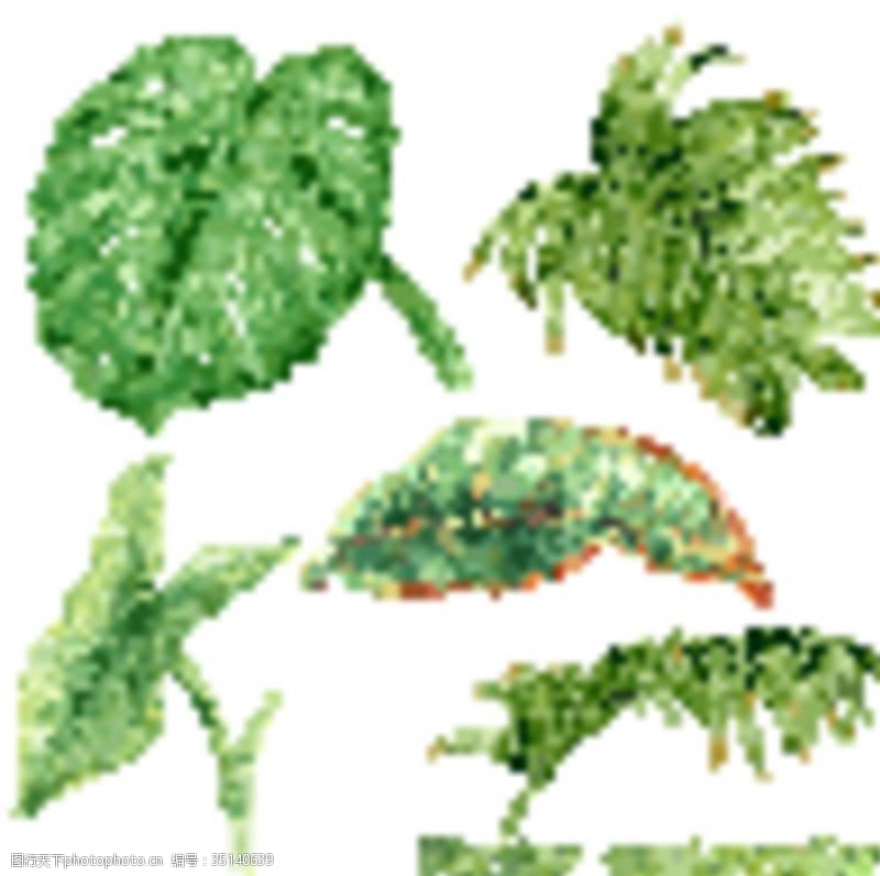 青翠绿叶素材小清新水彩北欧植物