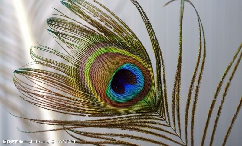 虹彩图片免费下载 虹彩素材 虹彩模板 图行天下素材网