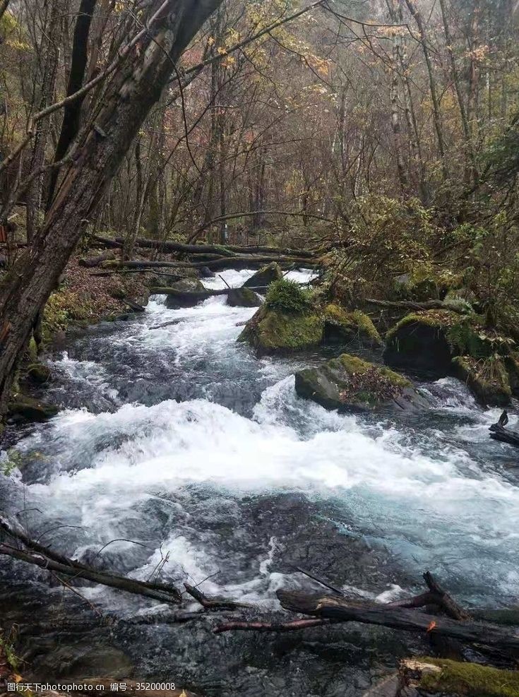 深山老泉山泉水