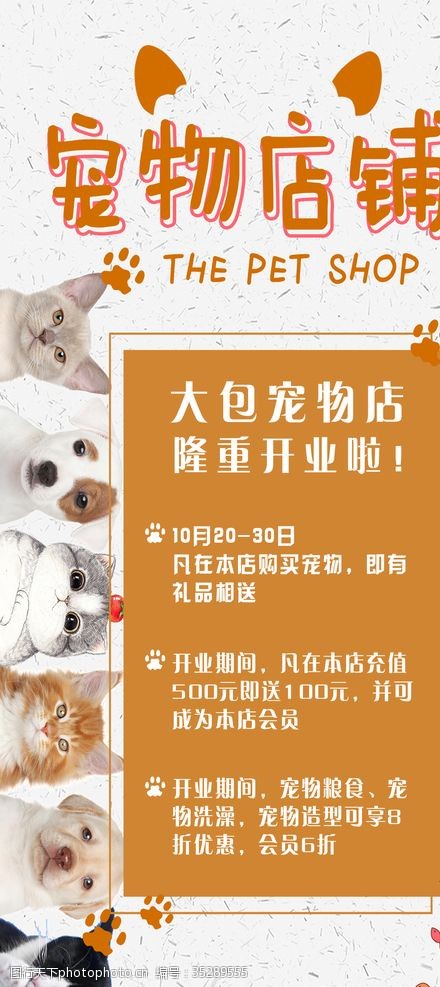 宠物护理宠物店海报