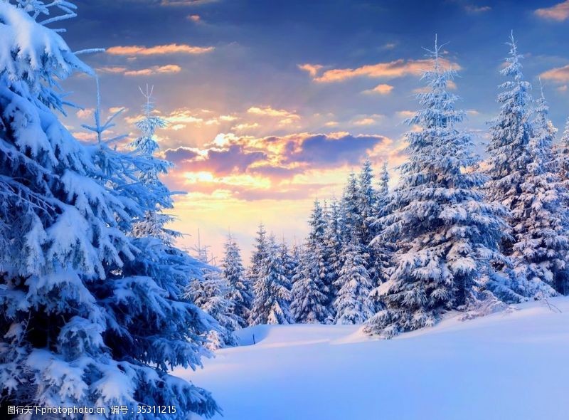 雪人矢量冬季树林雪花背景