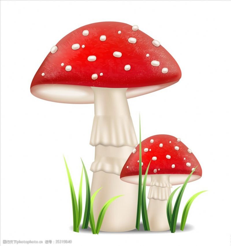 香菇特产蘑菇素材