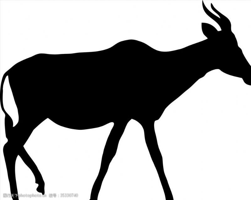 旷野野生动物系列羚羊剪影
