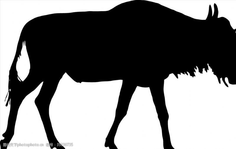 旷野野生动物系列牛羚角马
