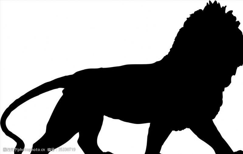 旷野野生动物系列雄狮狮子矢量