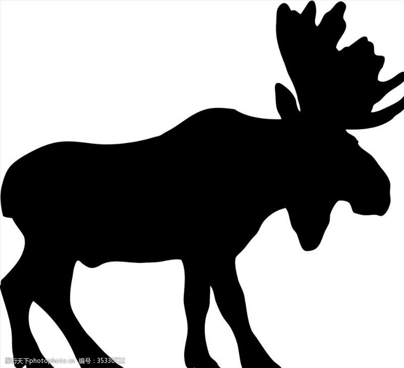 旷野野生动物系列驯鹿圣诞鹿