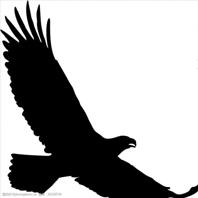 eagle野生动物系列老鹰鹰矢量图