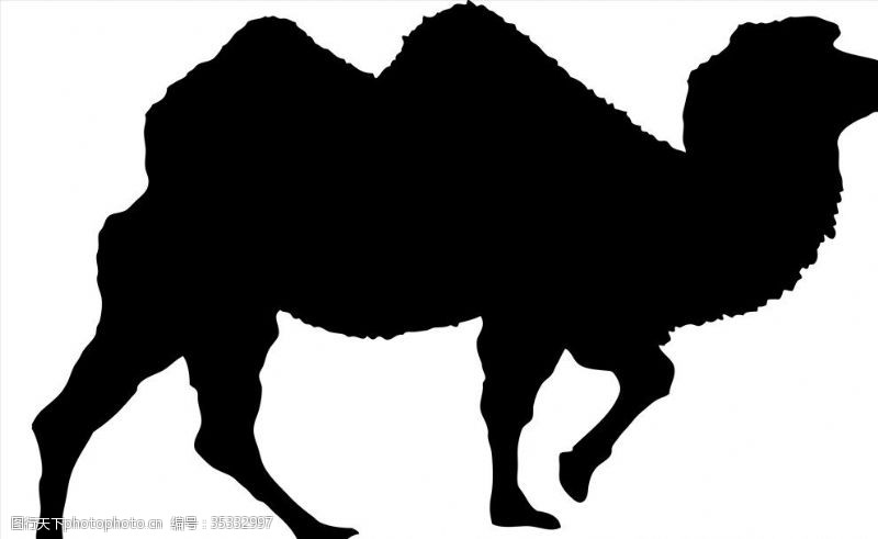 旷野野生动物系列骆驼剪影