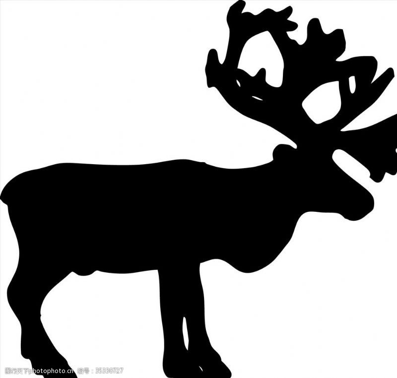 旷野野生动物系列驯鹿圣诞鹿