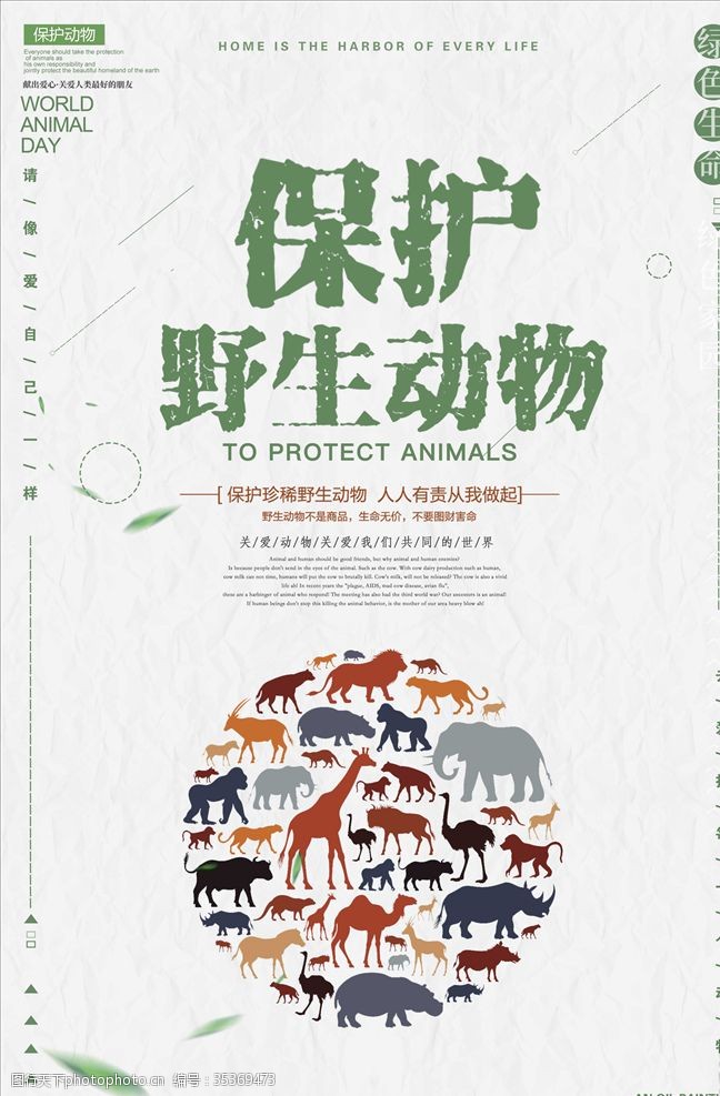 稀有动物保护野生动物海报
