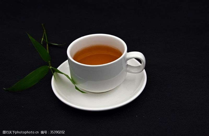 酒文化茶