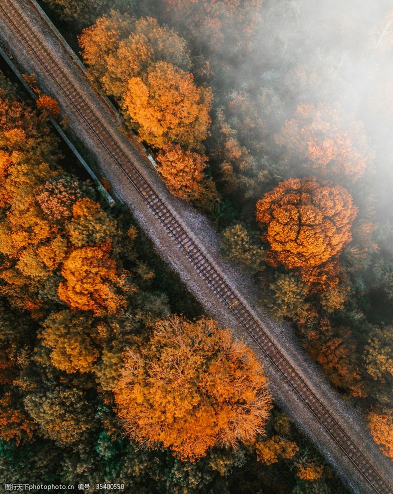 高清景观俯视图秋天公路