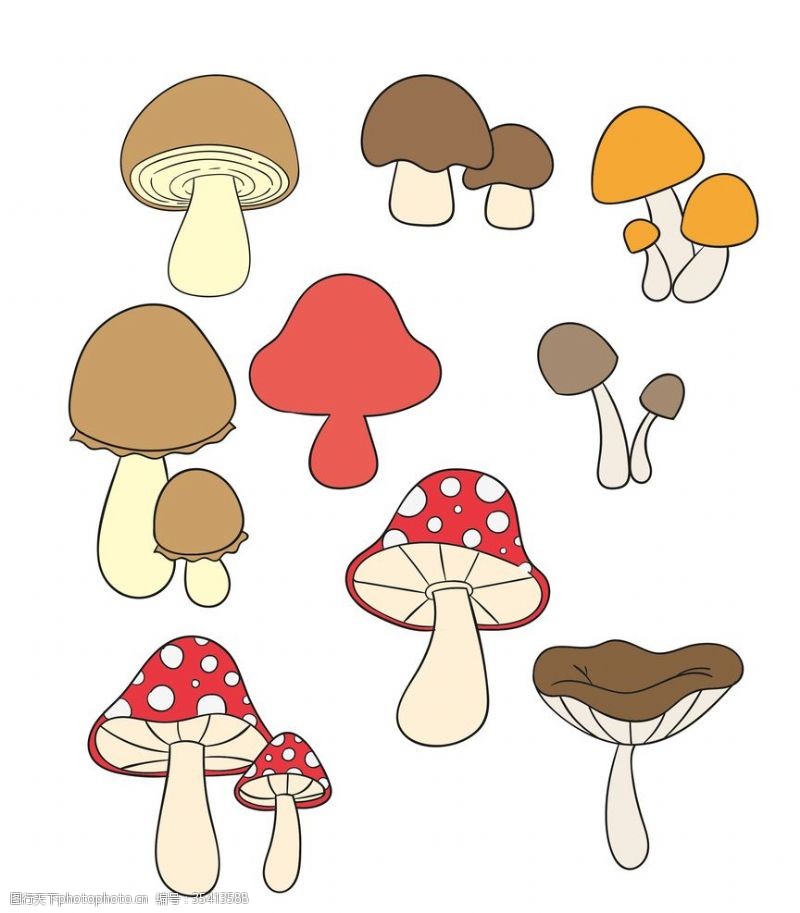 姬菇蘑菇