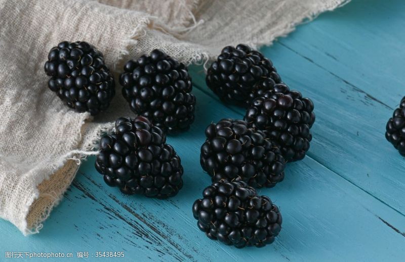水果名称黑莓
