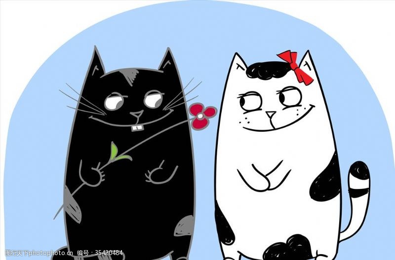 宠物卡片卡通动物系列黑白猫