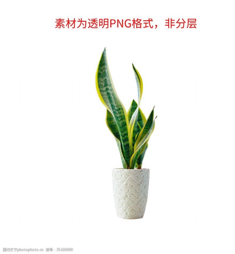 花草3d模型盆栽植物