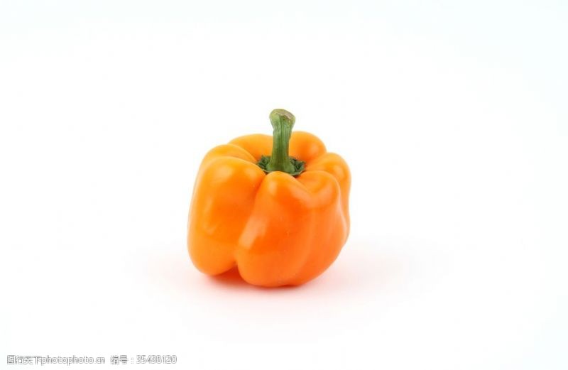 种植蔬菜辣椒