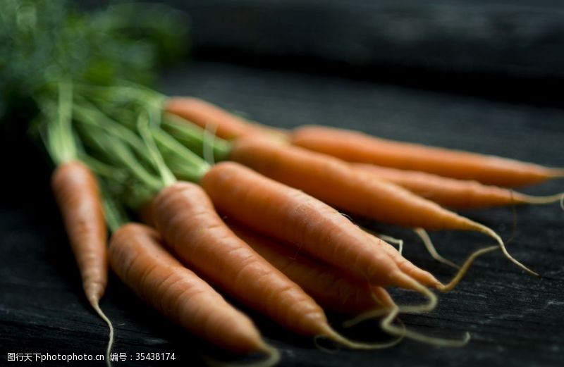 种植蔬菜萝卜