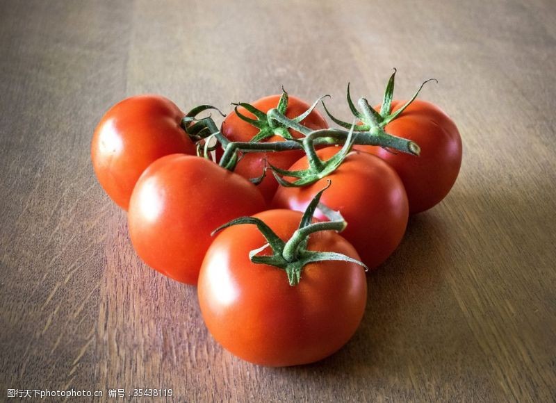 种植蔬菜西红柿