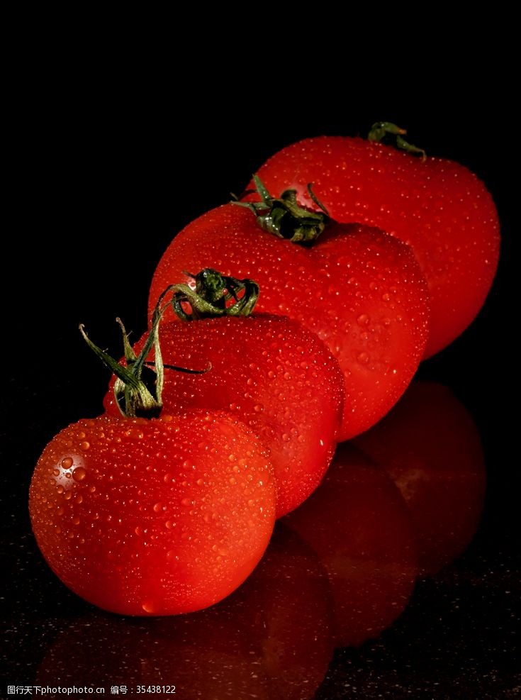 种植蔬菜西红柿