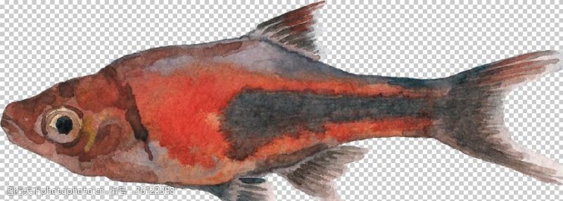 彩色书法纸手绘红色深海鱼