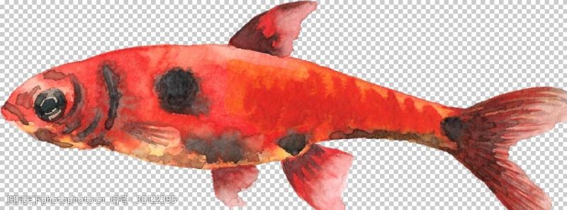 彩色书法纸手绘水彩红色深海鱼