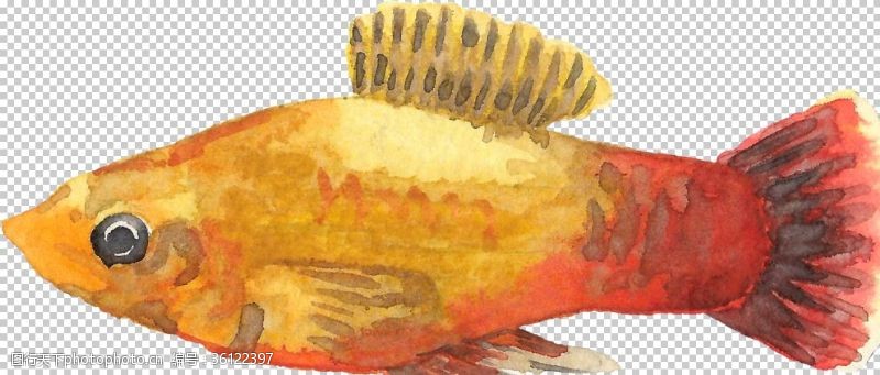 彩色书法纸手绘水彩金色深海鱼