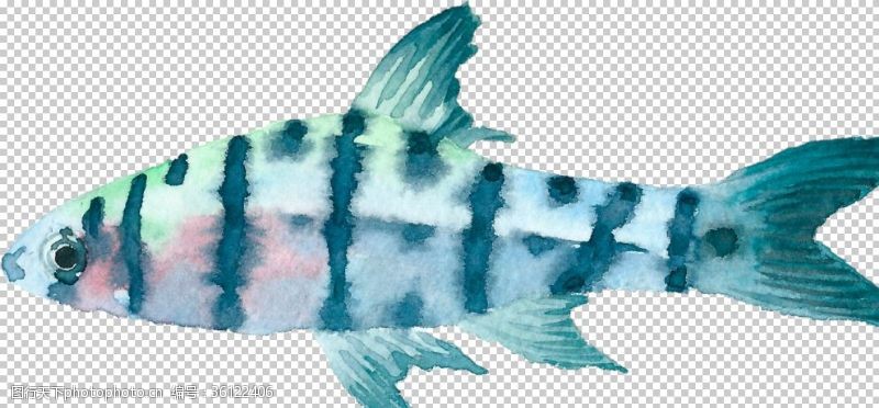 彩色书法纸手绘水彩蓝色深海鱼