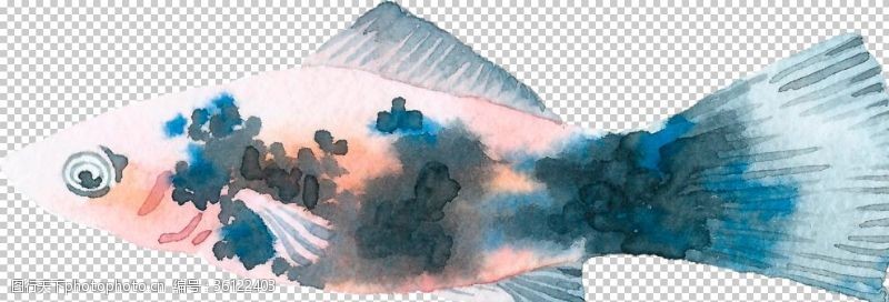 彩色书法纸手绘水彩深海鱼