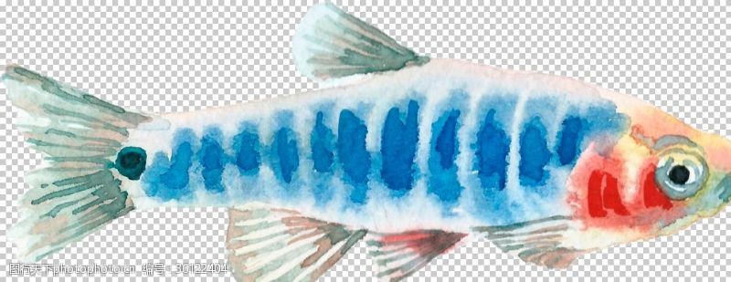 彩色书法纸手绘水彩深海鱼