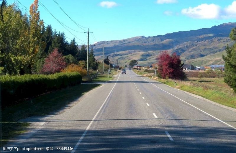 车辆新西兰南岛秋天风景