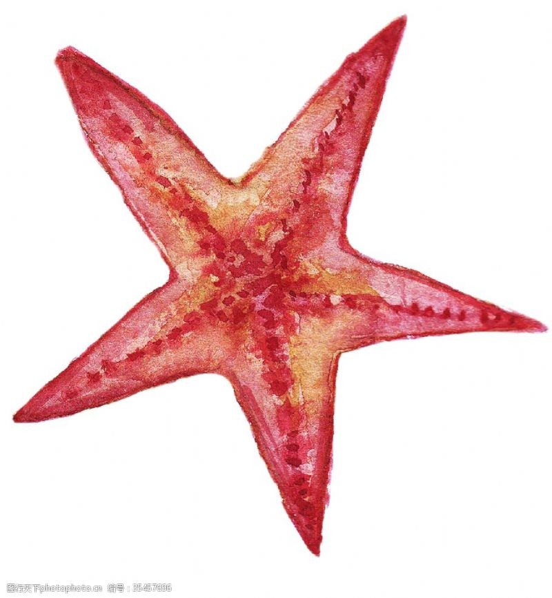 海底世界手绘水彩海星矢量素材