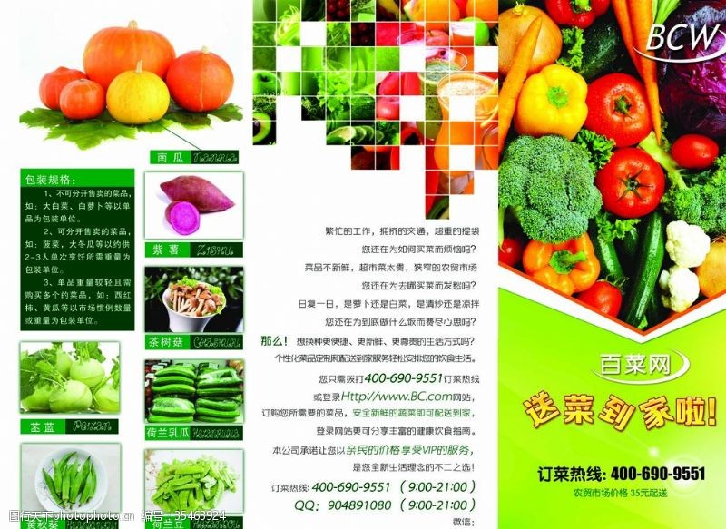 蔬菜三折页