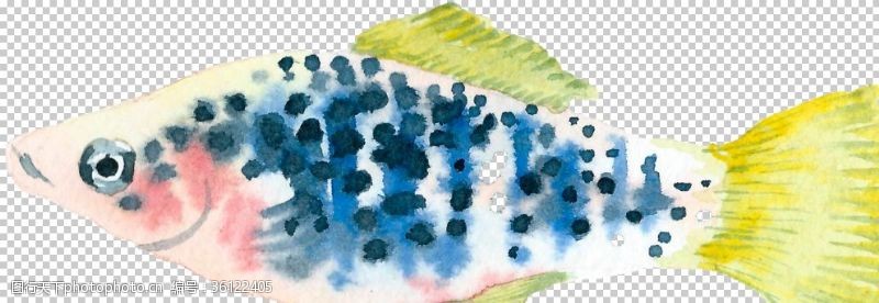 彩色书法纸水彩手绘彩色深海鱼