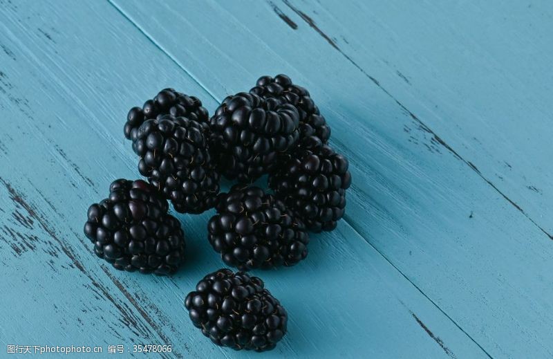 水果名称黑莓