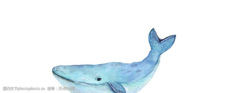 海底世界手绘水彩鲸鱼矢量素材
