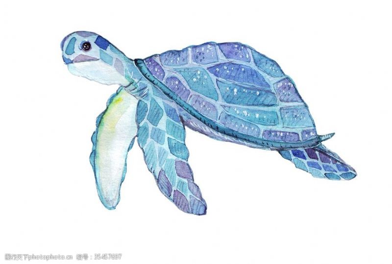 海底世界手绘水彩乌龟矢量素材