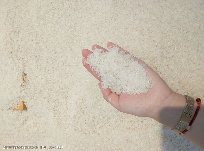 散米香粘米