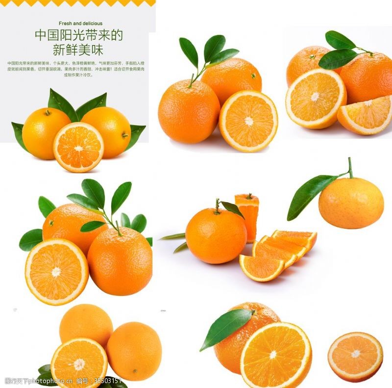 枳柑橘橘子橙子柠檬橘柑