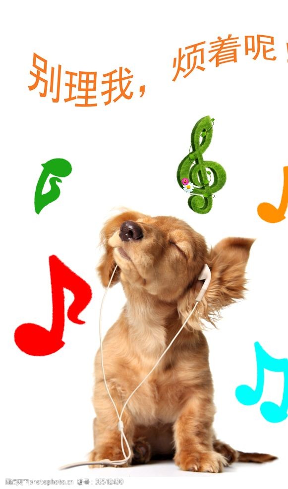 听我的听音乐的小狗