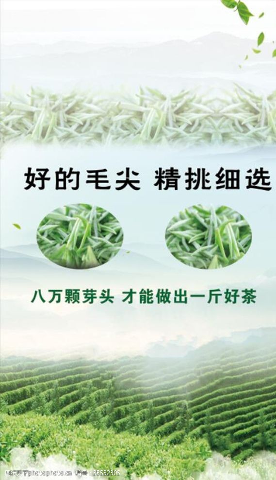 茶庄宣传单茶信阳毛尖茶文化海报