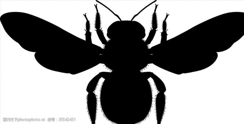 海底世界昆虫系列黄蜂剪影