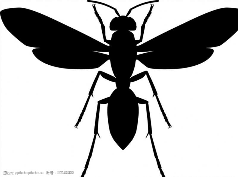 海底世界昆虫系列黄蜂剪影